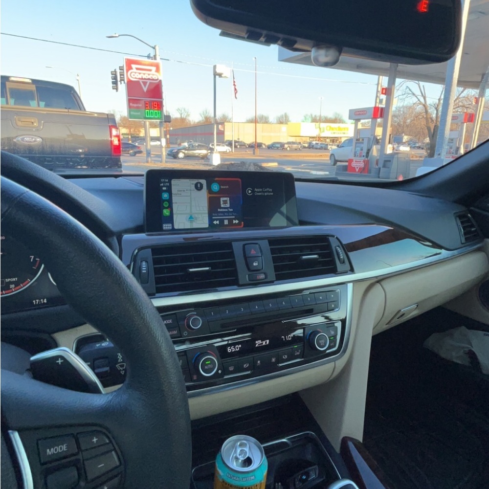 Meet your Posher, Owen